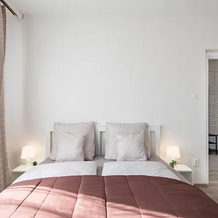 Lizo 2 Székesfehérvár