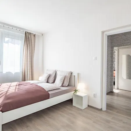 Lizo 2 Székesfehérvár