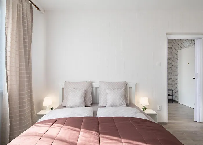 Lizo 2 Székesfehérvár