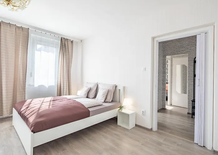 Lizo 2 Szekesfehervar